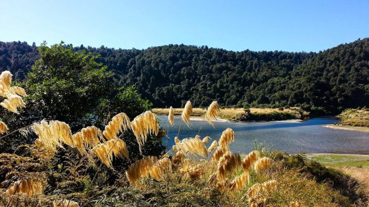 Mutter - Lake Waikaremoana